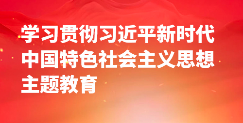 學(xué)習(xí)貫徹習(xí)近平新時(shí)代中國(guó)特色社會(huì)主義思想主題教育